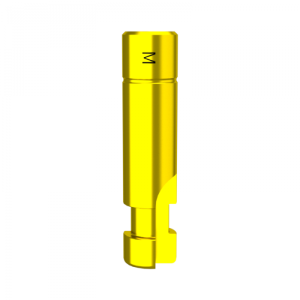 Mini DMR Replica