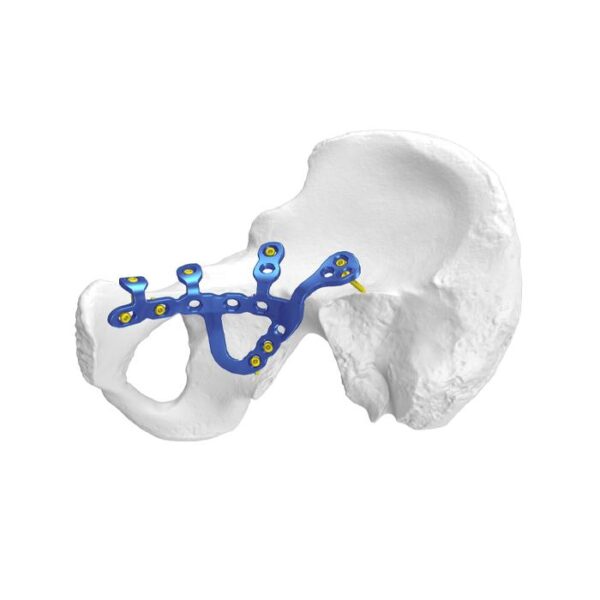 Plati ya Kufungwa kwa Acetabulum ya Pelvis ya Anatomia