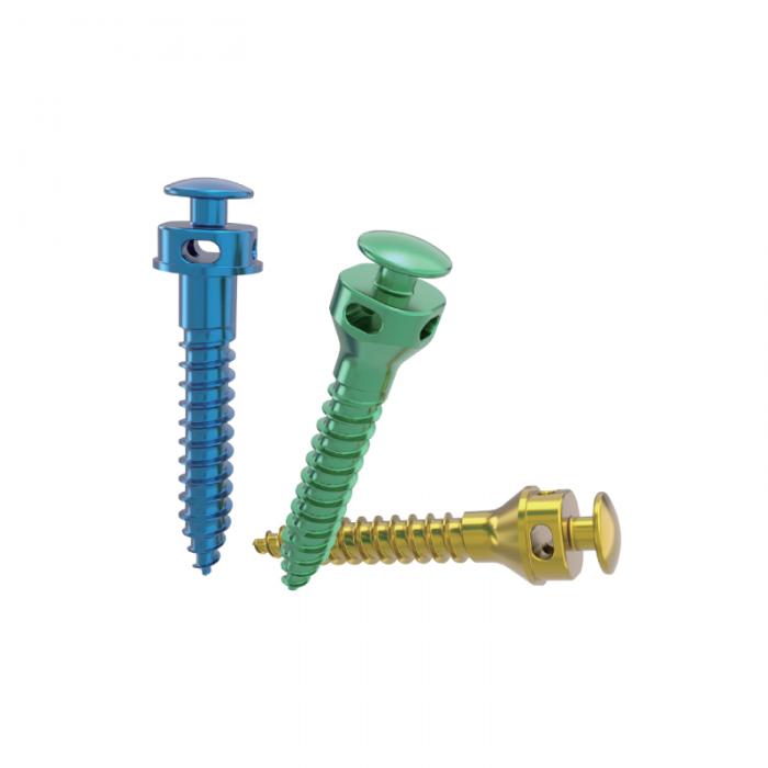 Intermaxillary Kuwabainishia (IMF) Screw